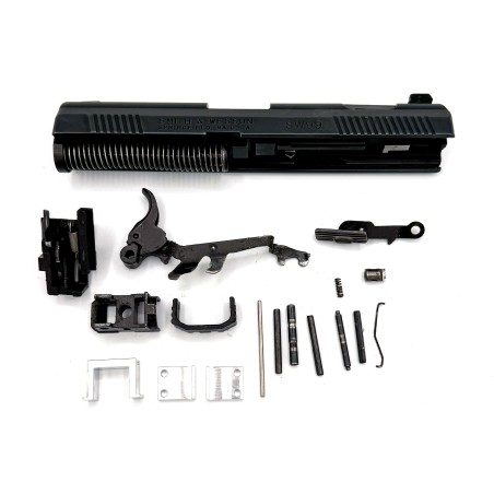 Smith and Walther P99 (With Rail)